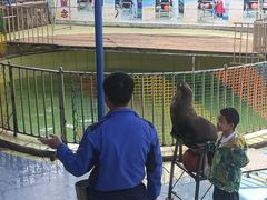 -昆明动物园