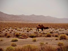 -天山神秘大峡谷