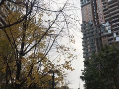 -龙湖·春森彼岸