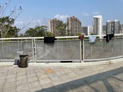 -白石龙音乐公园