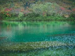 -靖西鹅泉风景区