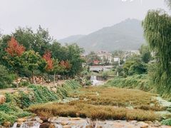 -泰山风景名胜区-虎山公园