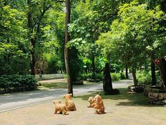 -贵州森林野生动物园