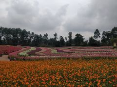 -保利石象湖景区