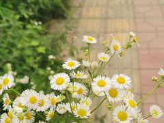 -洪湖家庭农场·团建·露营·会议
