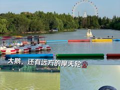 -上海野生动物园