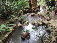 -海南槟榔谷黎苗文化旅游区