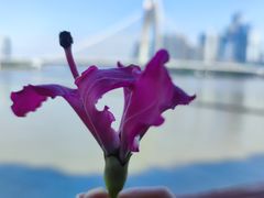 -海心沙亚运公园