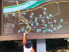-云碧峰国家森林公园