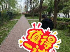 -仁和公园(顺义区)