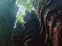 -梭布垭石林景区