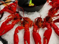 -一棠龙虾(徐家汇城开YOYO店)