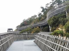 -福道