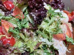 蔬菜沙拉-李老哈·东北菜(宋园路店)