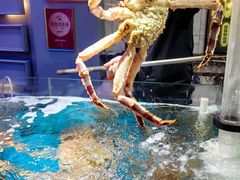 -蟹之国·精品蟹料理(极地店)