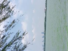 -白鹭园