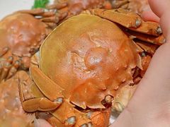 -童福兴·南京菜(老门东店)