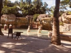 -海口观澜湖火山温泉谷