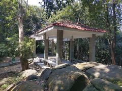 -火炉山森林公园