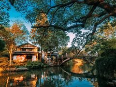 -西溪国家湿地公园