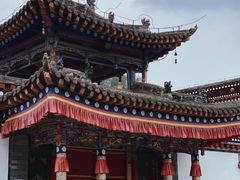 -塔尔寺-菩提树