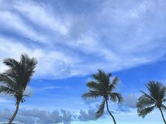 -JW万豪厨房餐厅·滨海草坪烧烤·海鲜·海景(三亚绿发山海天JW万豪酒店)