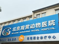 -北京观赏动物医院·24小时大型综合·猫专科·异宠专科