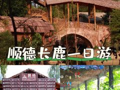 -长鹿旅游休博园