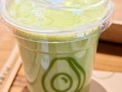 -油梨树 AVOCADO TREE(亮马桥店)