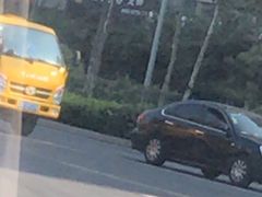 -西元前宠物酒店(郑庄府邸店)
