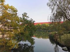 -中国浦东干部学院