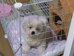 -宠颐生宠物医院·异宠猫科内科·诊疗中心宠巢店