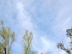 -蜀冈西峰生态公园