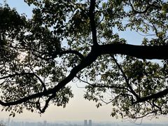 -岳麓山风景名胜区