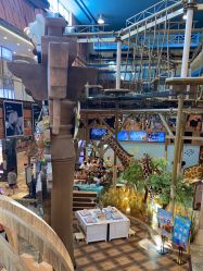 -卡通尼·Safari非洲探索乐园·生日会(金桥国际商业广场店)