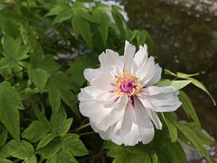 -太阳宫公园
