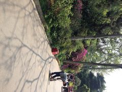 iphone_upload_pic-湖南烈士公园(芙蓉区)