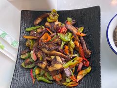 -蘑统田下·野生菌火锅