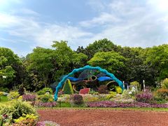 -上海共青森林公园