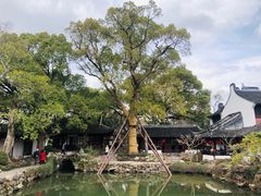 -上海醉白池公园