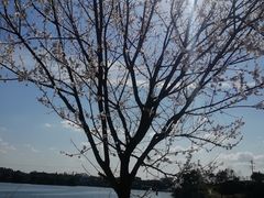 -三岔湖景区