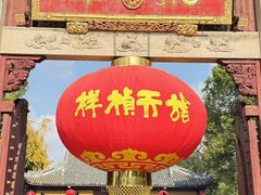 -龙华素斋(龙华路店)