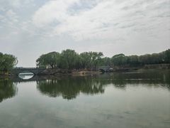 -大兴滨河森林公园