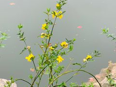 -台州府城(东湖)