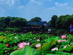 -尚湖风景区