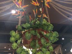 -云海肴·汽锅鸡·云南菜(天津国金汇店)