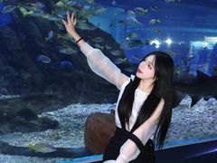 -海合安武汉极地海洋公园