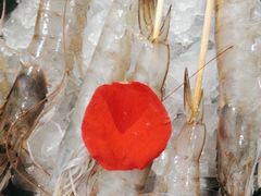 -重庆袁老四火锅(武进万达店)