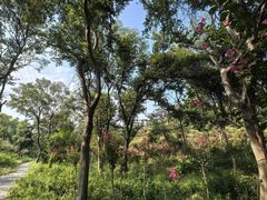 -青龙山国家森林公园