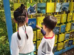 -广东惠东海龟国家级自然保护区
